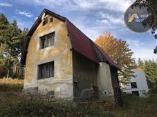 photo_10