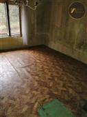 photo_11