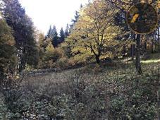 photo_12