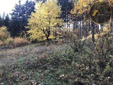 photo_13