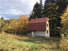 photo_5