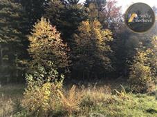 photo_6