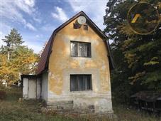 photo_7
