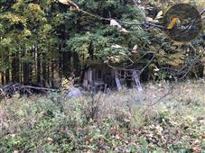 photo_9