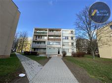 photo_11