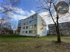 photo_12