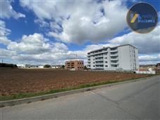 photo_3