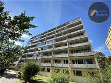photo_19