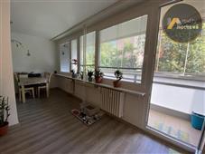photo_6