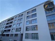 photo_7