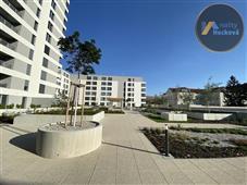 photo_8