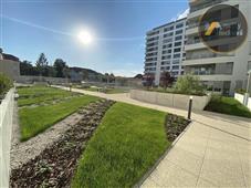 photo_9