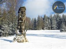 photo_5
