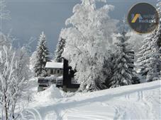 photo_7
