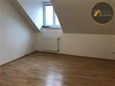 photo_11
