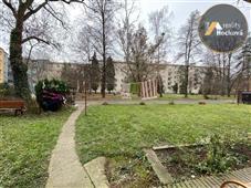 photo_11