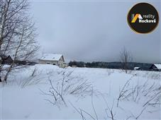 photo_11