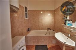 photo_11