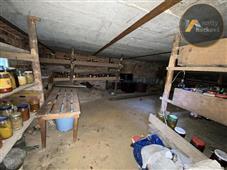photo_21