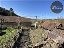 photo_6
