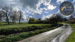 photo_6