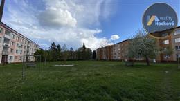 photo_19