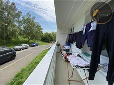photo_11