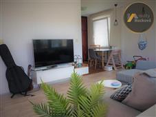 photo_2