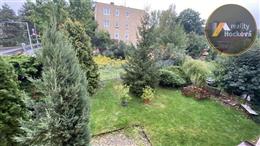 photo_31