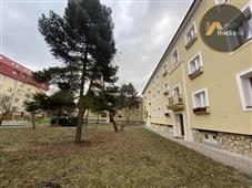 photo_15