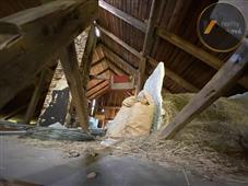 photo_17