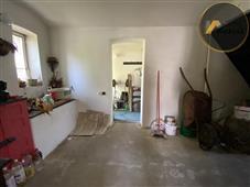 photo_6