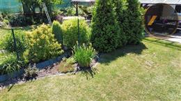 photo_9