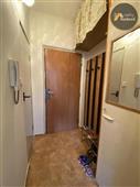 photo_7