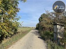photo_3