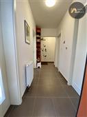 photo_15