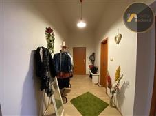 photo_7
