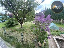 photo_6