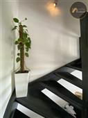 photo_14
