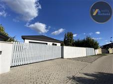 photo_11