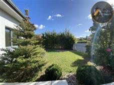 photo_6