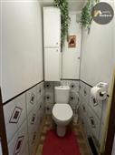 photo_11