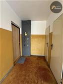 photo_19