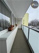 photo_8