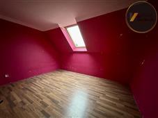photo_11