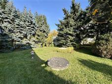 photo_7
