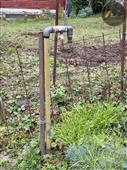 photo_22