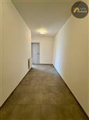 photo_12