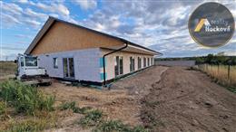 photo_4