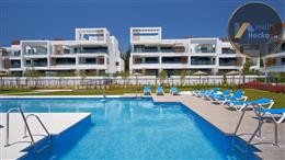 photo_7